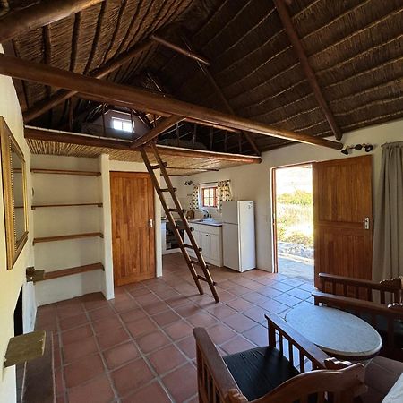 Enjo Nature Farm Clanwilliam Εξωτερικό φωτογραφία