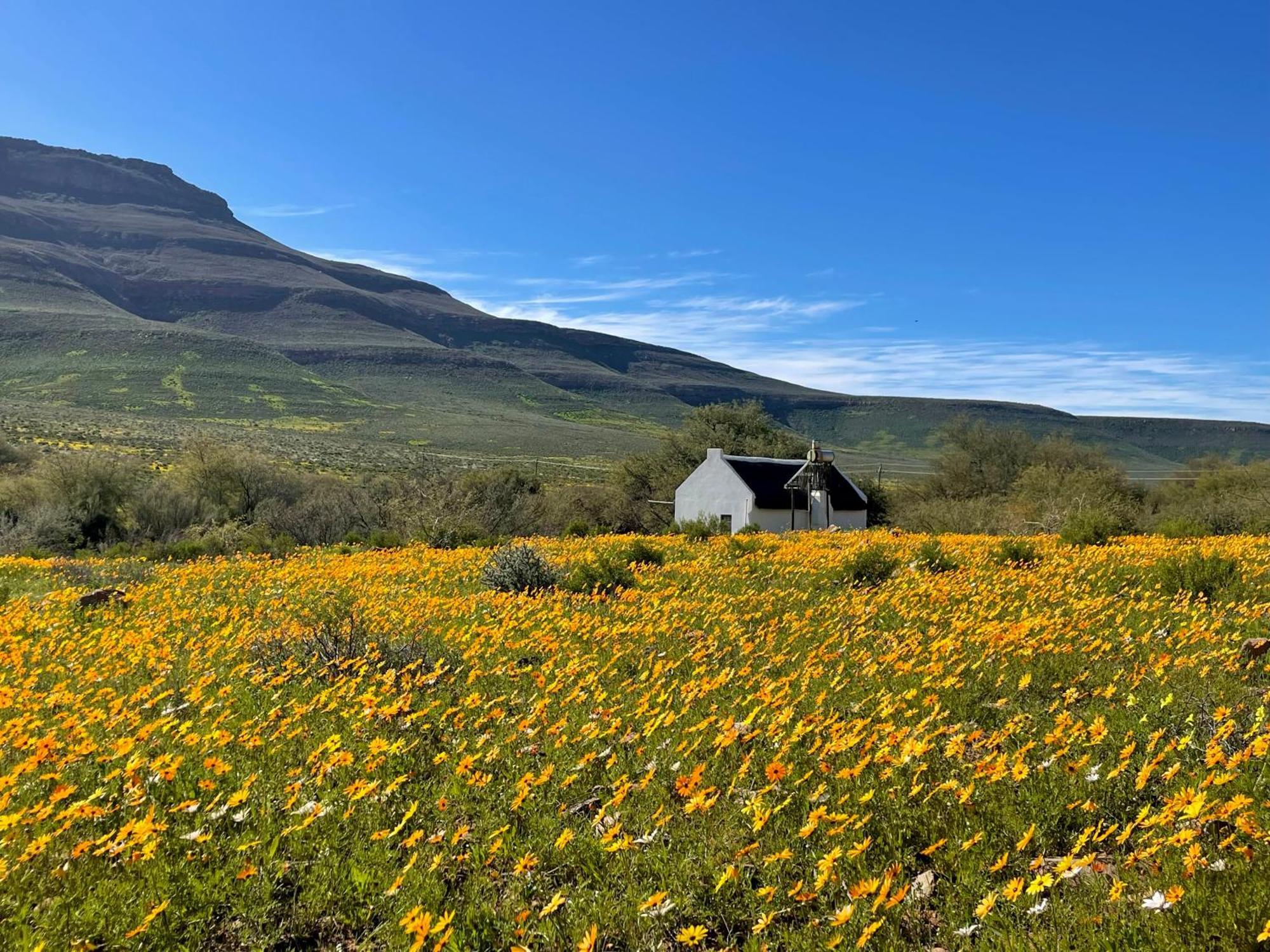 Enjo Nature Farm Clanwilliam Εξωτερικό φωτογραφία