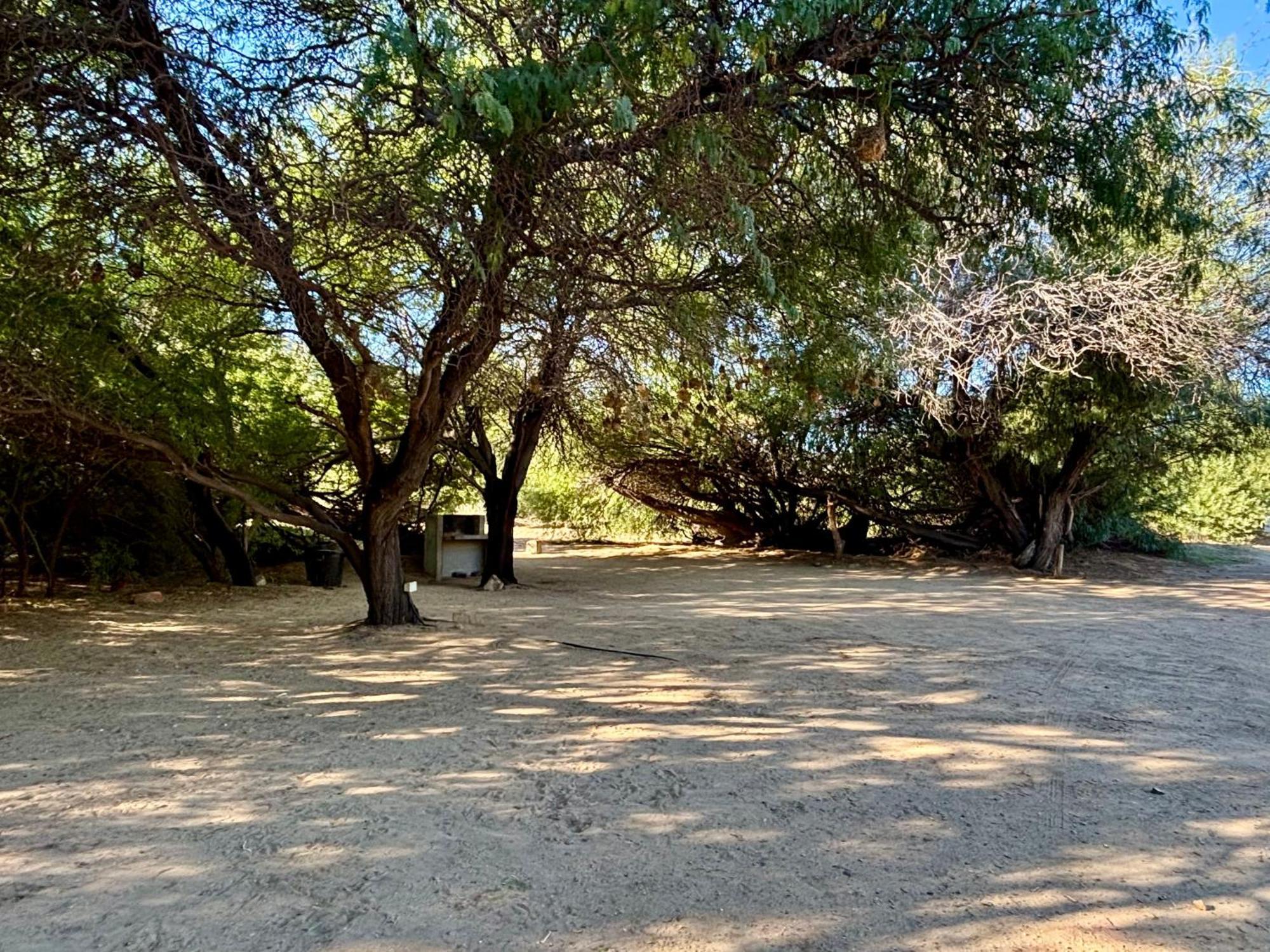 Enjo Nature Farm Clanwilliam Εξωτερικό φωτογραφία