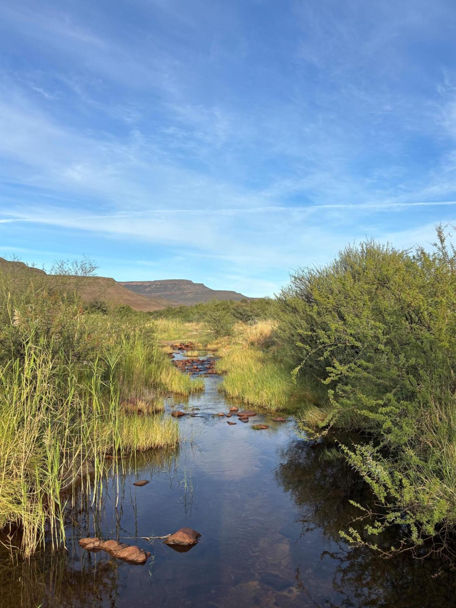 Enjo Nature Farm Clanwilliam Εξωτερικό φωτογραφία