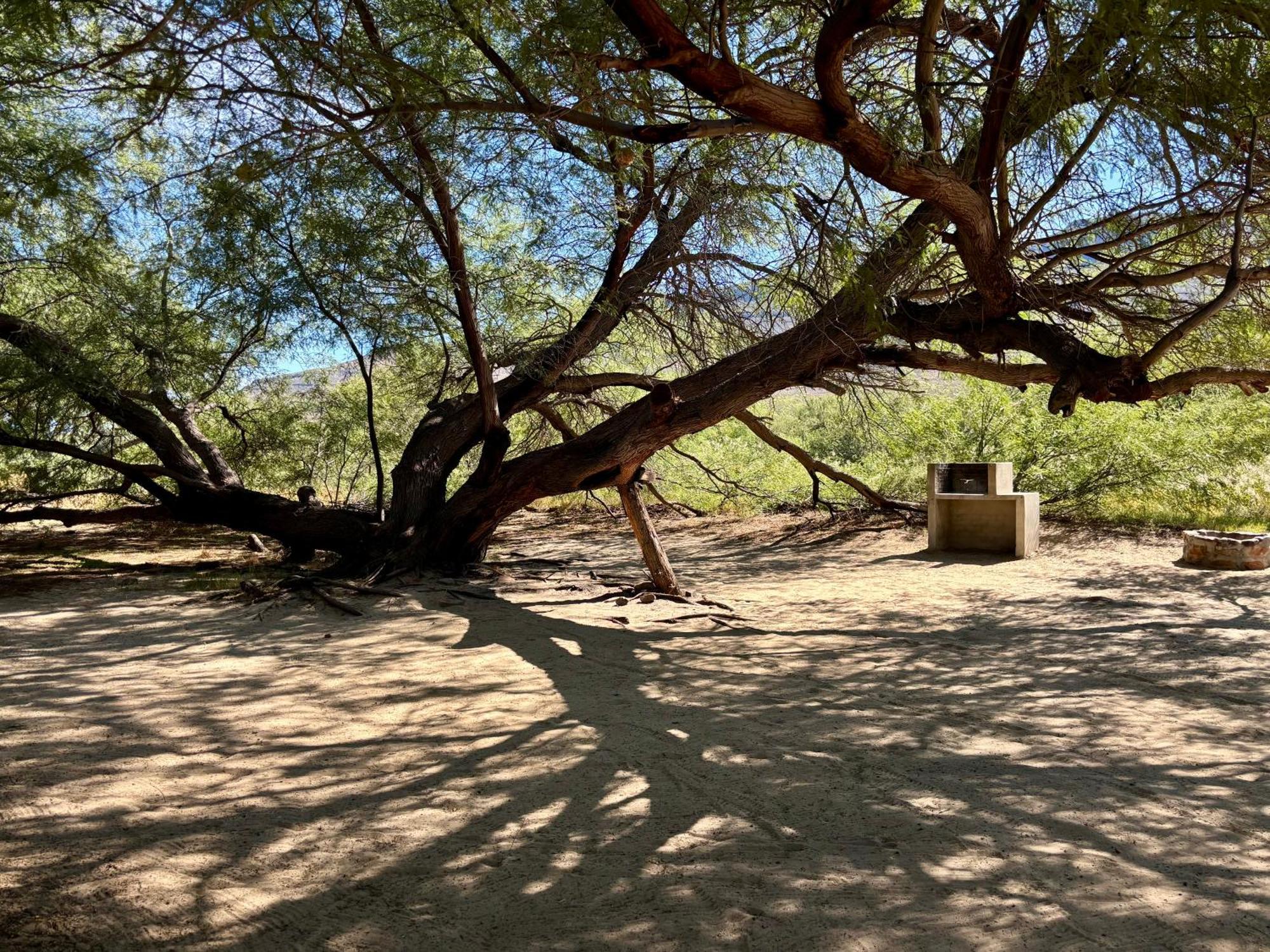Enjo Nature Farm Clanwilliam Εξωτερικό φωτογραφία